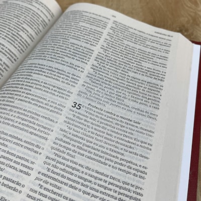 image_3f2de229-a4d6-49a8-8a6b-31437921ce79