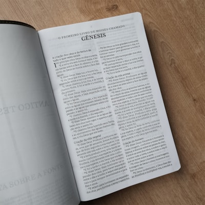 image_37f4fe0c-0e2f-4c0b-96c2-ec0e1945c766