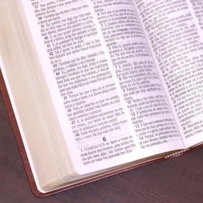 image_f69c3a57-8f5c-4963-ac4c-e91329107402