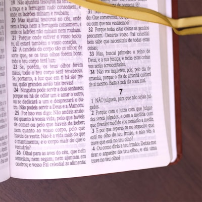 image_377639d6-177f-49f3-8b7e-0016a89faf5d