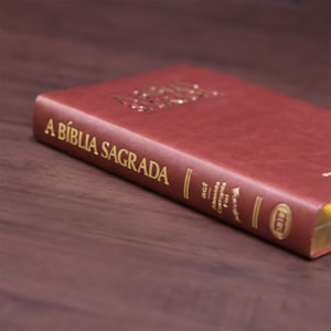 Bíblia Sagrada| ACF | Letra Gigante | Capa Luxo Caramelo