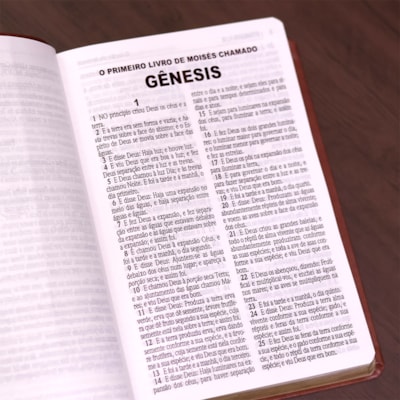 image_dc3c3348-b9ec-4b72-a401-faae06dc6460