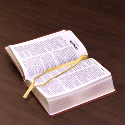 image_9b00f57c-3566-4439-8c21-c02c2110d482