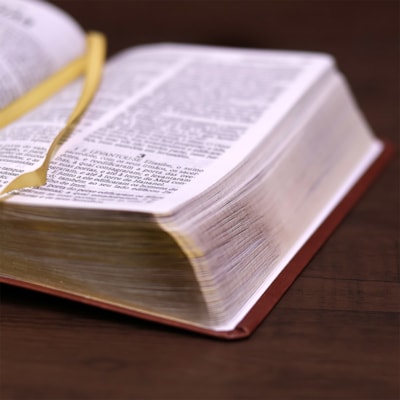 image_6ce50487-9550-4cbb-b074-12aed2a47f11