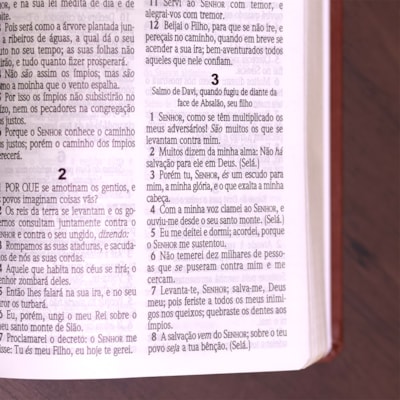 image_c9f7e42d-3cf2-4672-9c7d-c15566019dbb