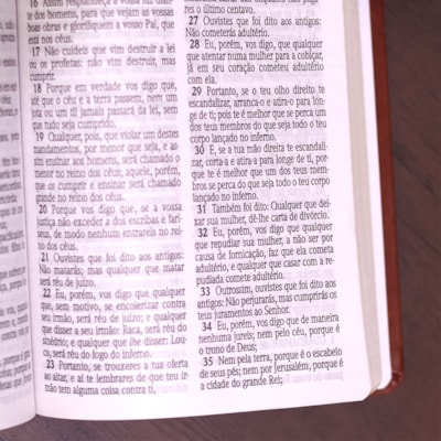 image_1252271d-ddd6-43f1-ae89-55fff7583e4e