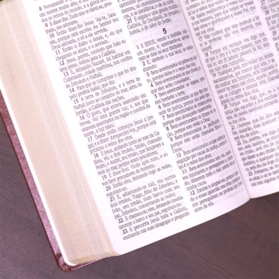 image_6b99afc3-9133-456b-8e5e-a3e41479a43e