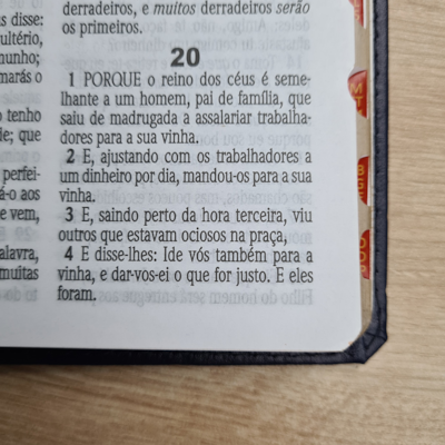 image_07850016-62d0-4eee-8853-b91a17f408e3