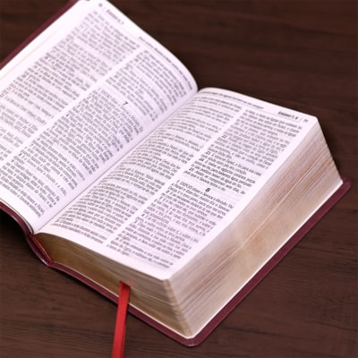 image_68fec28c-8026-42ae-b7ad-102f0812b1f3
