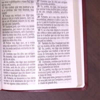 image_c97c32b6-ada2-44d9-bf74-5b5ad78d57b9