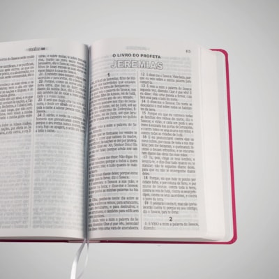 image_2e397437-4534-4ec2-9623-7461eec8c727