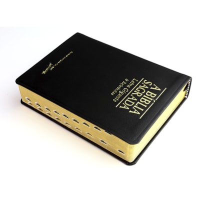 image_9ab813dc-3f87-4088-9723-f5f5c80a9352