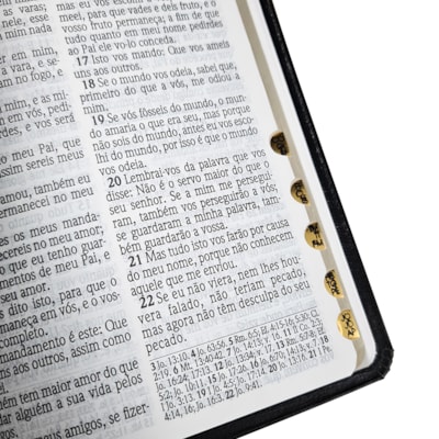 image_f0d37d0f-ce0b-4ca8-b333-d56217f4ea5b