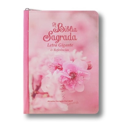 Imagem Principal - a502c967-dfca-47e0-8d5d-16610b4f24d8