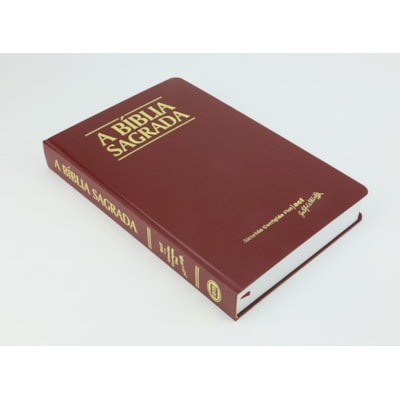 image_b62eb536-b39d-41b4-9881-869ec5c54579