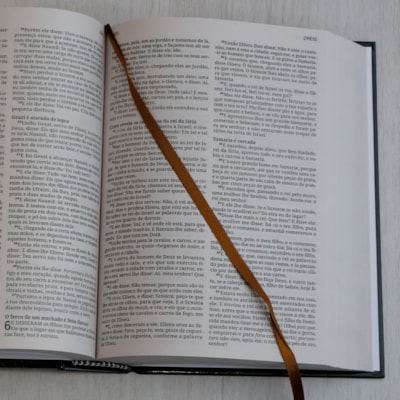 image_f85a2919-243f-4f65-8e6d-4857912d2ac0