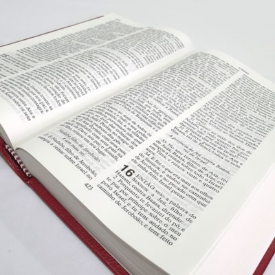 image_8b92acc7-3e6b-48e0-848f-e86c6a6db403