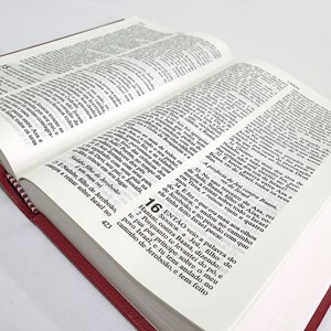 Bíblia Sagrada | ACF | Letra Grande | Capa Dura Vermelha