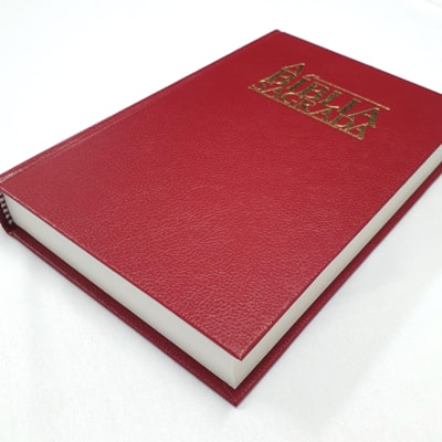 image_7a0dc5d3-22a9-40b4-acfc-bf7887e51c41