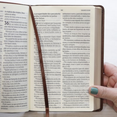 image_5952f7a0-f6dd-4ab7-aedf-e52b0ddcdc17