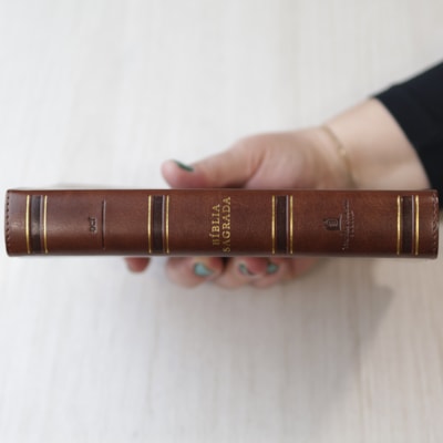 image_3dad4b91-abd3-4147-8140-960f308386d6