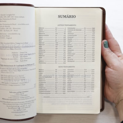 image_2782cae7-a2b5-42f4-9cc1-e3452d8b9d03