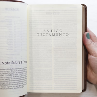 image_17710e76-5f9a-4080-8efe-6cb1a1a33dc7