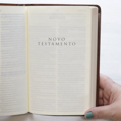 image_a2d2bf8c-6d63-4a15-9847-134d00e80d44