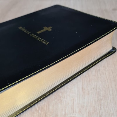 image_814d0386-dc02-4bd9-9627-9ff2817819a2