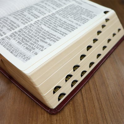 image_2858d5c4-e6a5-4d1a-9fdc-39a8af703164