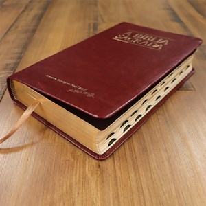 Bíblia Sagrada | ACF | Letra Grande Super Legível | Capa Luxo Mogno | Com Indíce