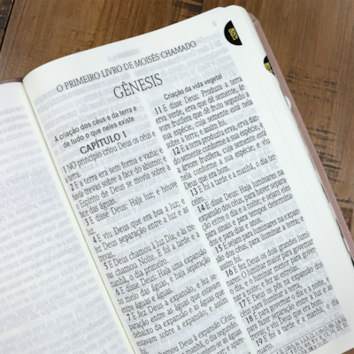 image_b30eb8e1-d095-4cac-a9f8-d50e70bcaa43