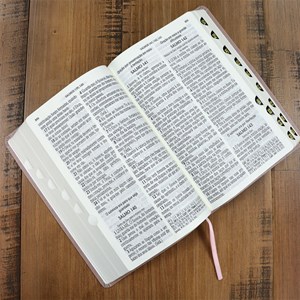 Bíblia Sagrada | ACF | Letra Grande Super Legível | Capa luxo Rosa Gold