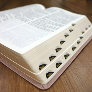 Bíblia Sagrada | ACF | Letra Grande Super Legível | Capa luxo Rosa Gold
