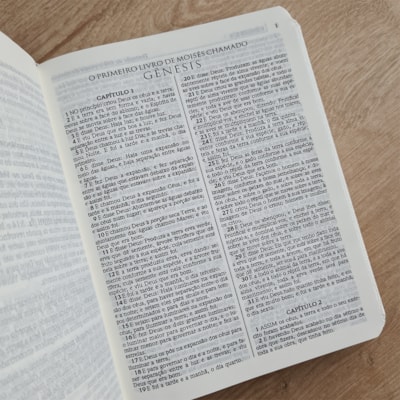 image_d4f34026-3e50-42eb-98cf-a865a528f982