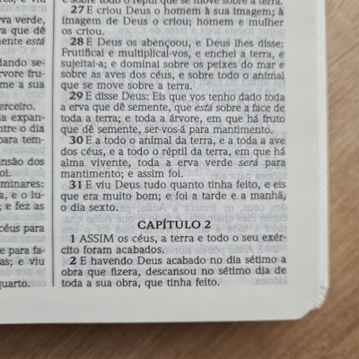 image_83e48382-441b-4c50-881e-63cfe7f52f36