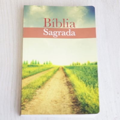 image_fdc50ad8-b568-4863-a3dd-4a02a00c0e30