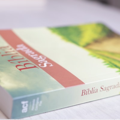 image_76354e9f-bca9-4cae-9c44-72357b69ca2a