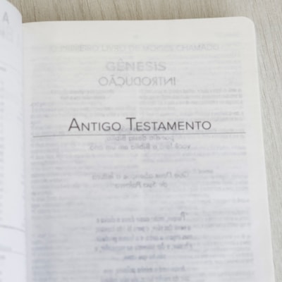 image_72438efa-250c-4bea-bebb-a99dc162bb72