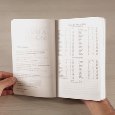 image_3604f1ce-33eb-4375-a11b-90543bd9b5ec