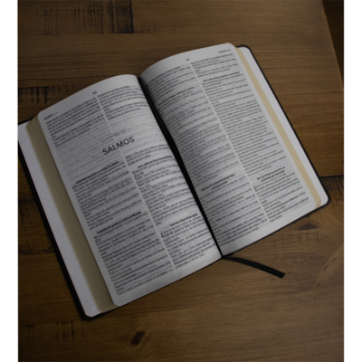 image_f0885ffb-09f6-4176-b506-1ec5216eece1