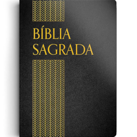 Bíblia Sagrada | ACF | Letra Normal | Capa Luxo Preta
