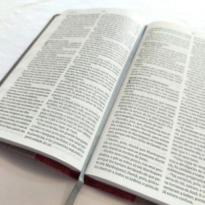 image_38c8167e-0adb-488e-bf14-09f38bc129c3