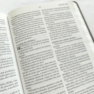 image_3207e34b-838e-4661-b791-4b82786dd4cc