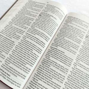 Bíblia Sagrada | ACF | Letra Normal | Leitura Perfeita | Capa Tecido