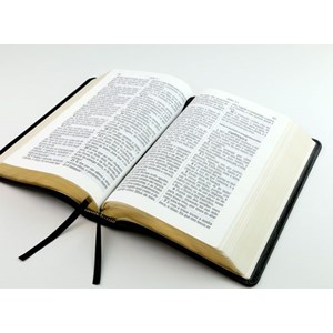 Bíblia Sagrada | ACF | Letra Super Legível | Capa Couro Legítimo Preta