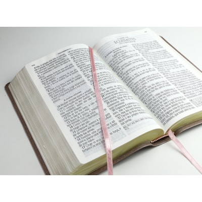 image_5530fb25-24ff-4e60-9c09-116ad0ed8ab2