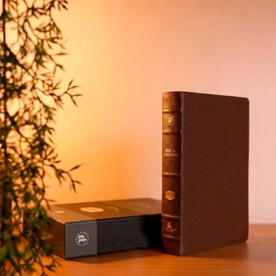 image_0fffbf01-abbf-485f-bb1a-761d0dd4ad93