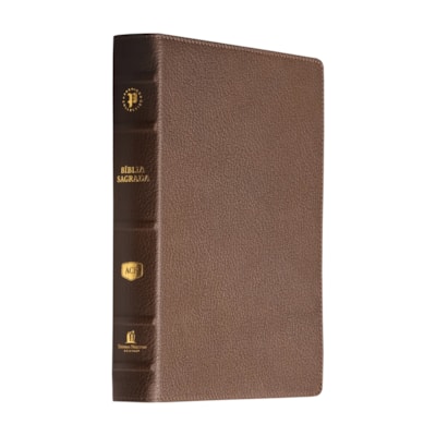 image_8a393ada-5e98-4f63-937a-299713fa35af