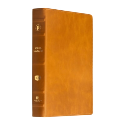 image_dc3c6e39-1b0b-4389-867e-dab3fbe4b9dc